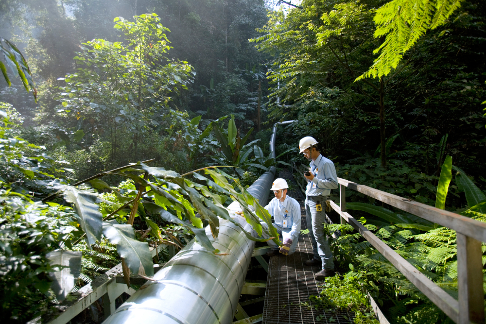 Salak_MG_2528-(Edited)