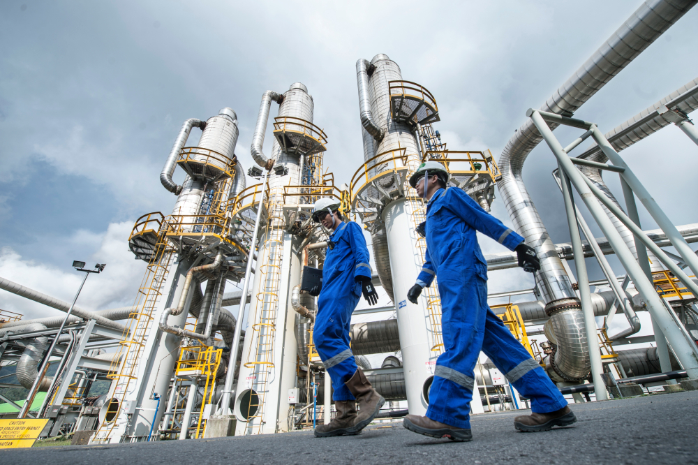 day14_chevron_salak_0410-(edited)